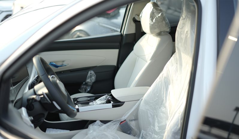 
2025 Hyundai Tucson 1.6L AT Petrol (White) full									