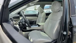 
2025 Hyundai Tucson 1.6L Turbo AT Petrol full									