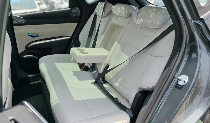 
2025 Hyundai Tucson 1.6L Turbo AT Petrol full									