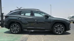 
2025 Hyundai Tucson 1.6L Turbo AT Petrol full									