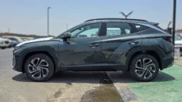 
2025 Hyundai Tucson 1.6L Turbo AT Petrol full									