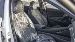 
2025 Hyundai Elantra 1.5L AT Petrol (Chinese Specs) full									