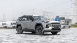 2026 Toyota Rav4 XLE 4×4 2.0L AT Petrol AWD (Gray-Beige)