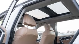 
2025 Toyota Rav4 Limited 2.5L AWD AT Hybrid (Silver-Tan) full									