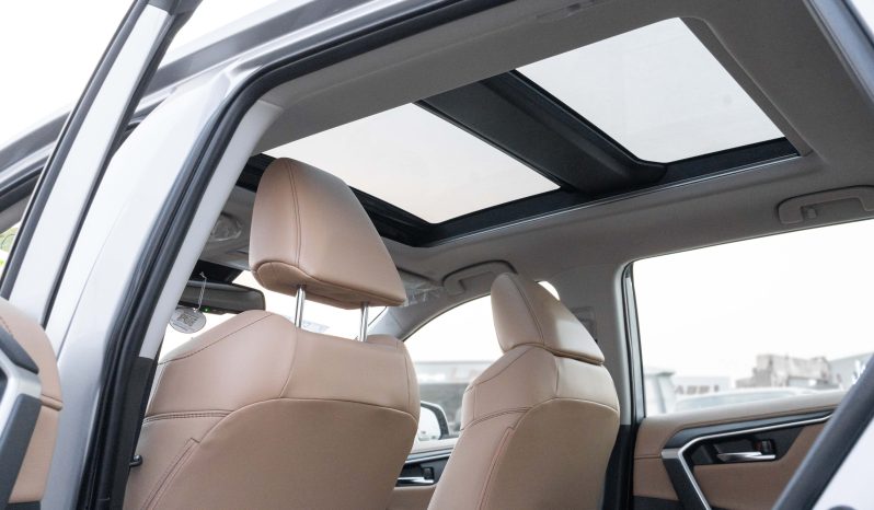 
2025 Toyota Rav4 Limited 2.5L AWD AT Hybrid (Silver-Tan) full									