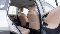 
2025 Toyota Rav4 Limited 2.5L AWD AT Hybrid (Silver-Tan) full									