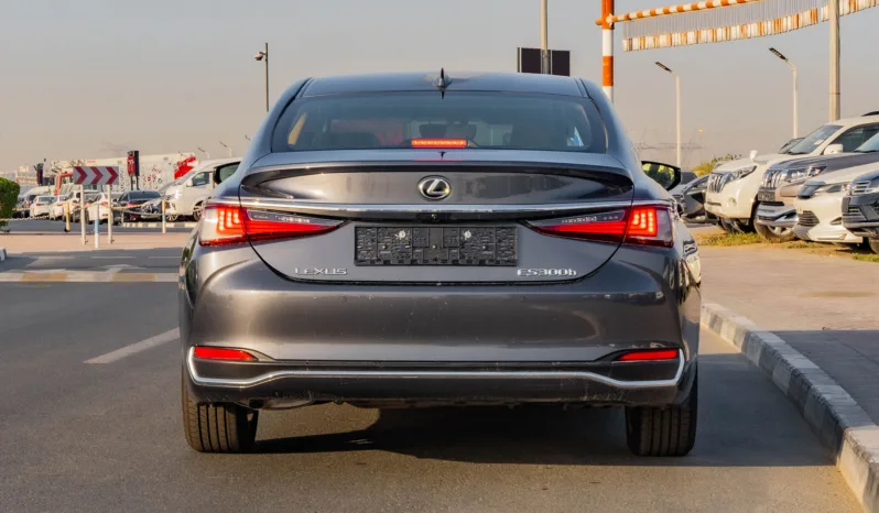 
								2025 Lexus ES300h 2.5L AT Hybrid (Grey) full									
