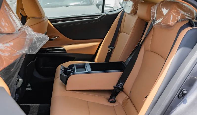 
								2025 Lexus ES300h 2.5L AT Hybrid (Grey) full									