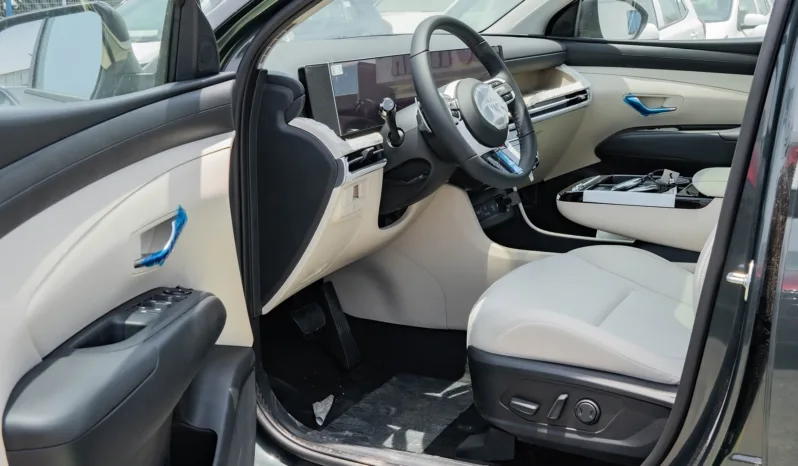 
2025 Hyundai Tucson 1.6L Turbo AT Petrol full									