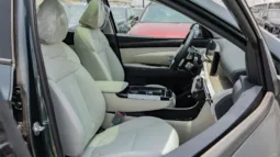 
2025 Hyundai Tucson 1.6L Turbo AT Petrol full									