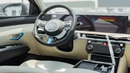 
2025 Hyundai Tucson 1.6L Turbo AT Petrol full									
