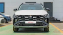 
2025 Hyundai Tucson 1.6L Turbo AT Petrol full									