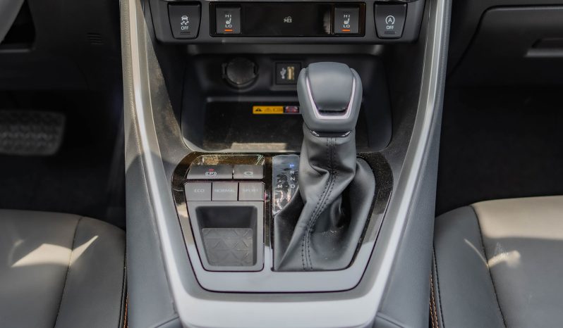 
2025 Toyota Rav4 Fashion Plus Edition 2.0L AT Petrol (White) full									